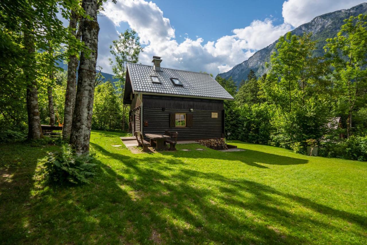 Chalet Tisa Bohinj Εξωτερικό φωτογραφία